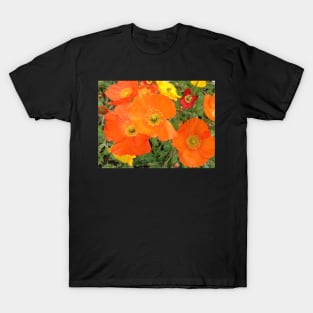 Orange Poppies T-Shirt